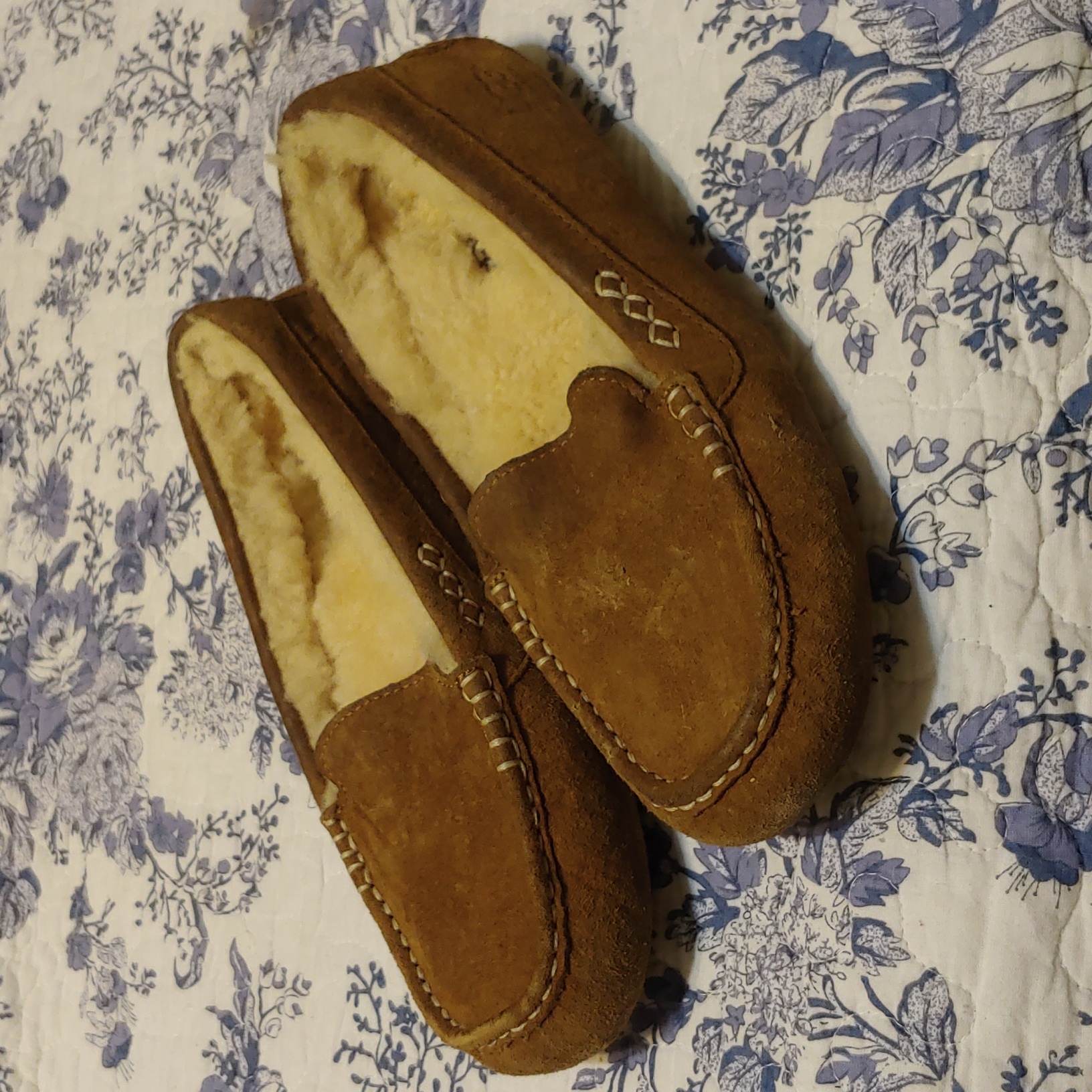 Ugg Ansleys